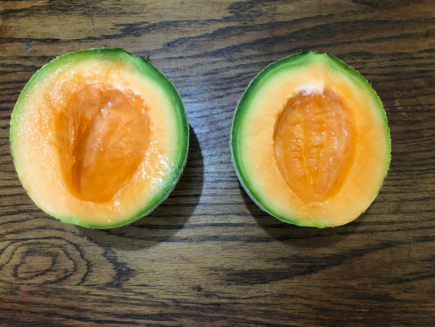 Cantaloupe, Margie’s Melon