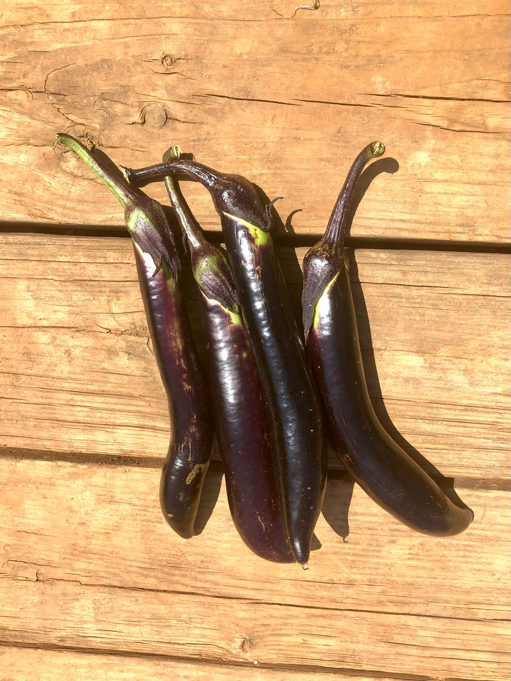 Eggplant, Kurume