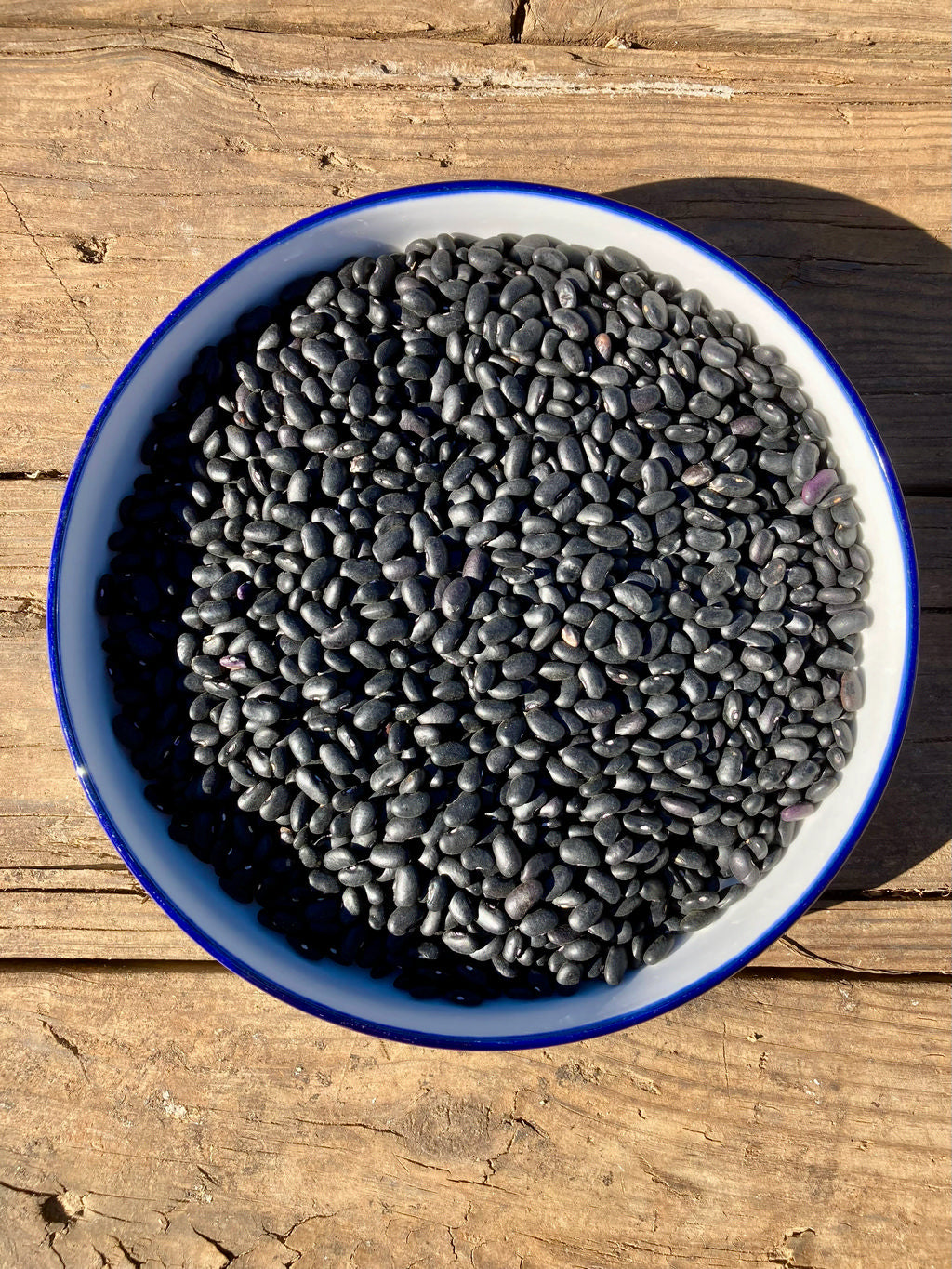 Bean (Dry Bush), Los Mangos