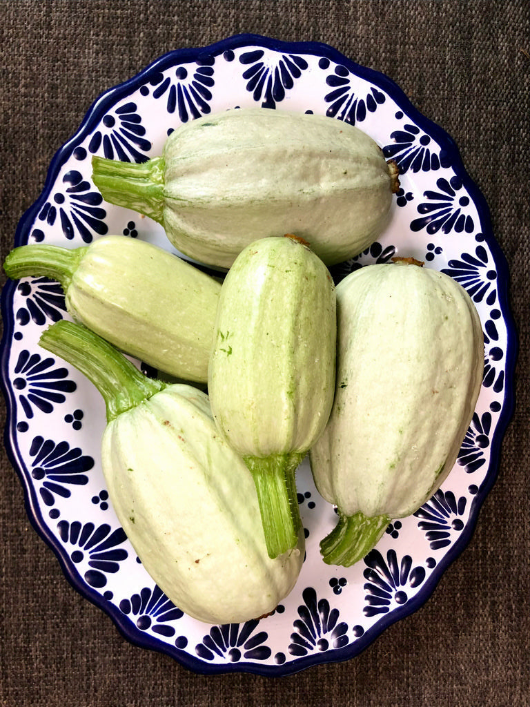 Summer Squash, Manteca