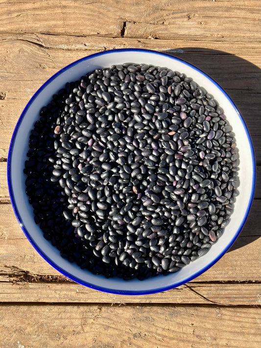 Bean (Dry Bush), Nayarit